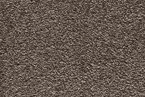 Ковролин AW Masquerade Moana 42 фото  | FLOORDEALER